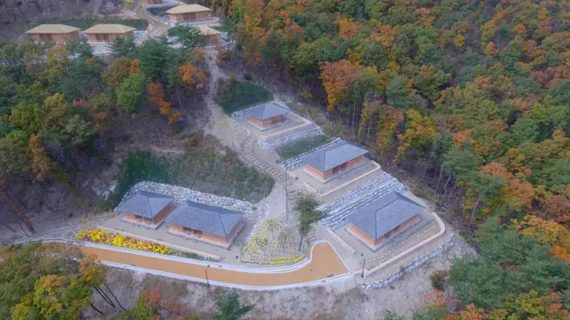 속리산 관문 말티재 숲길 및 청정 숲 파노라마