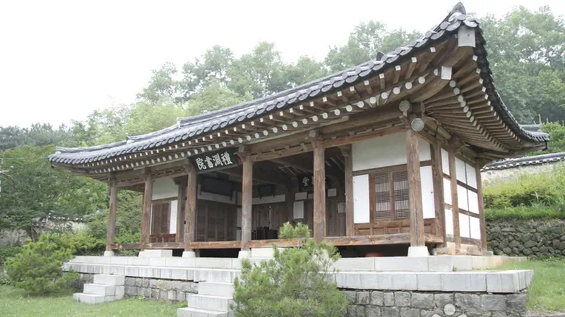 비슬산 줄기가 병풍처럼 감싸고 있는 숲 파노라마 뷰