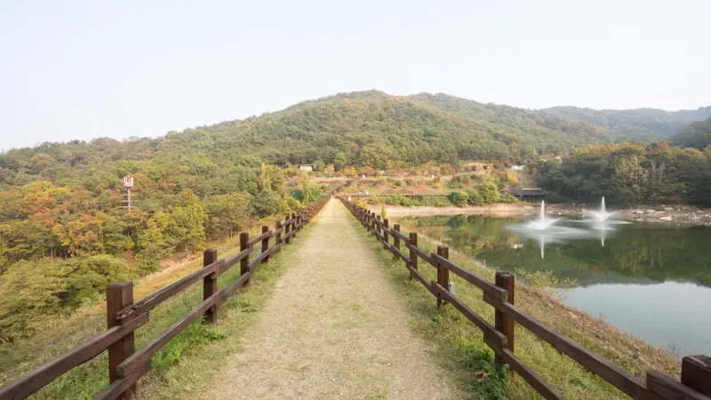 숲속의집 및 산림문화휴양관 1:1 주차공간