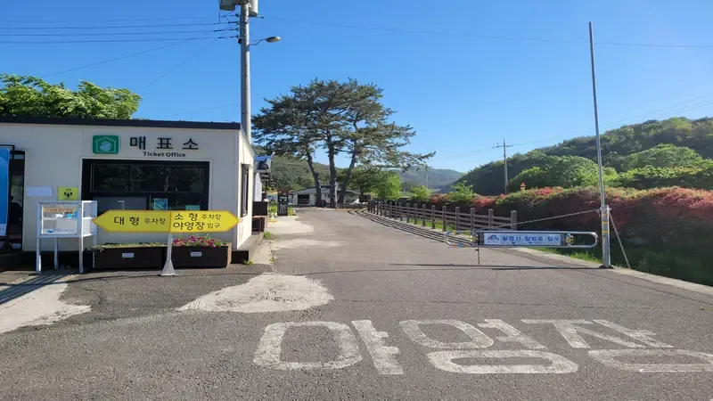 팔영산 피톤치드 편백나무 숲과 맑은 산림 쉼터