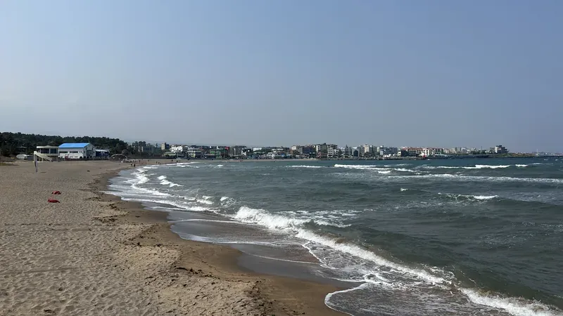 이호테우 청정 해변 및 솔숲 쉼터