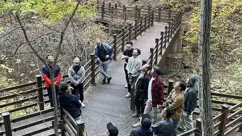 대관령 100년 금강송 숲속 쉼터 및 산림치유 해설 투어