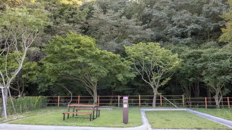 내장호 수변 잔디광장과 내장산 청정 단풍 숲 피크닉 쉼터