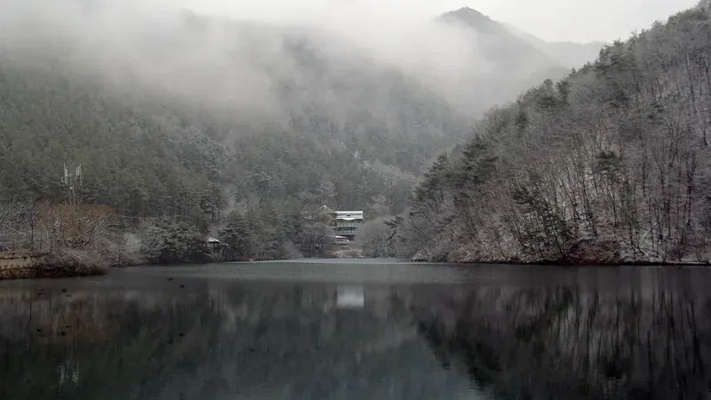 속리산 천연 침엽수림과 말티재 열두 굽이 숲 쉼터
