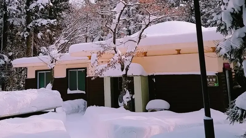 법정악 전망대와 사계절 맑은 계곡 물놀이장