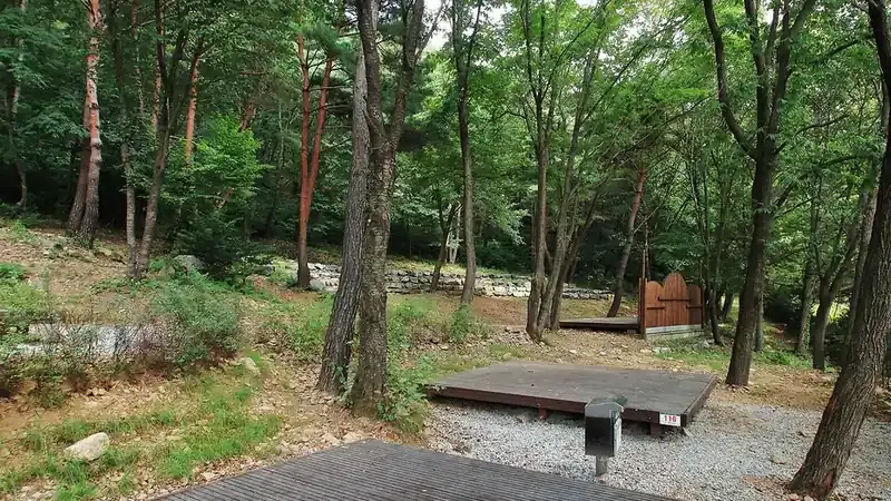 용현계곡 맑은 물과 피톤치드 숲속 힐링 쉼터