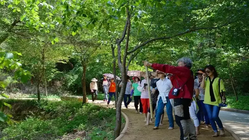 성주봉 맑은 계곡 물놀이장 및 야생화 피크닉 쉼터