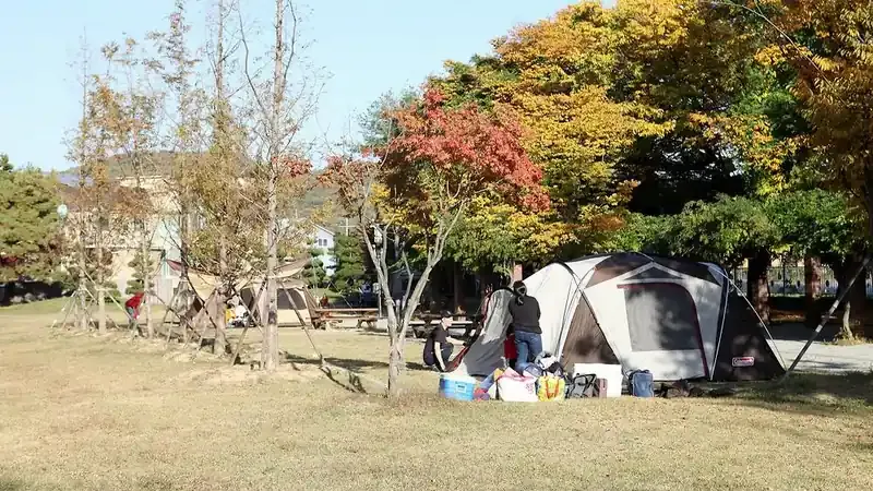 공릉저수지 수변 산책로 및 울창한 숲속 힐링 쉼터
