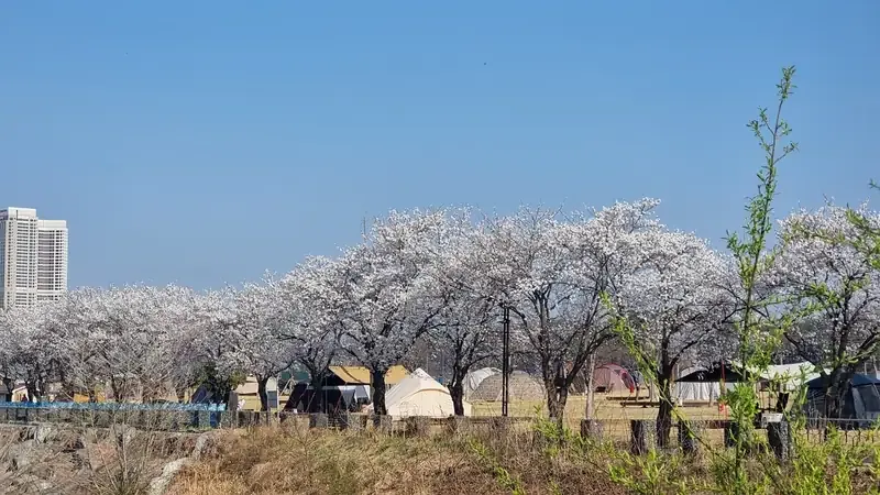 남한강 수변 산책로 및 피크닉 쉼터