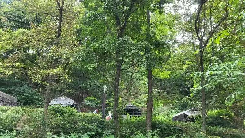 피톤치드가 뿜어져 나오는 일자산 숲속 자연을 만끽하는 호젓한 캠핑 사이트 산책로