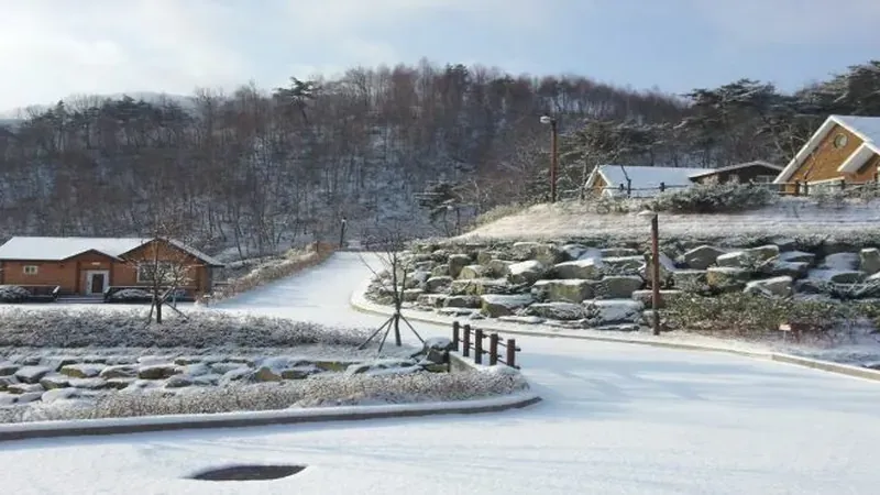 맑은 고산천 계곡 물놀이장과 녹음 쉼터