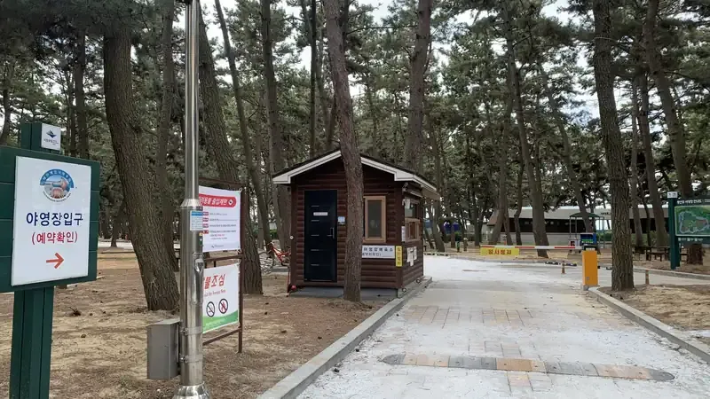 피톤치드 곰솔 숲과 완만한 몽산포 백사장 갯벌 쉼터