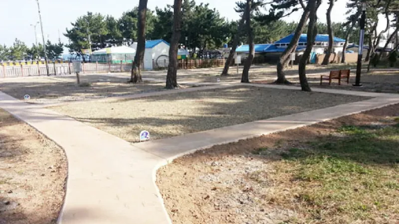 해송 솔숲 산책로를 따라 이어지는 아늑한 송림 야영 데크길
