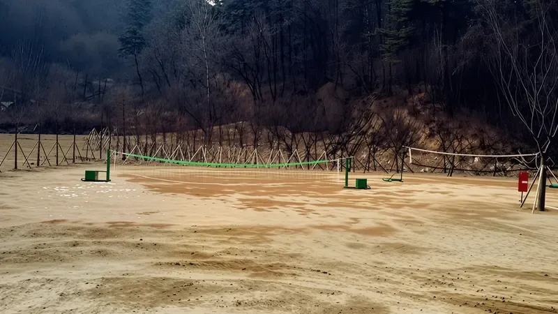 소나무 숲속 야외 쉼터 및 자연 산책로
