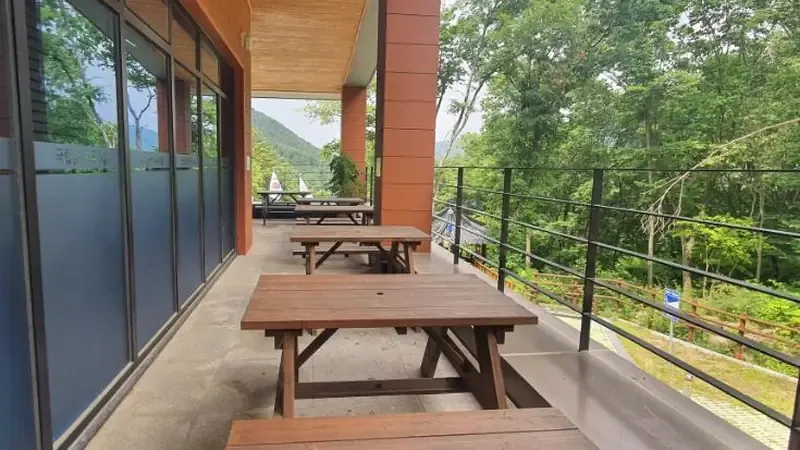 수도산 자락 피톤치드 잣나무 숲길 산책로