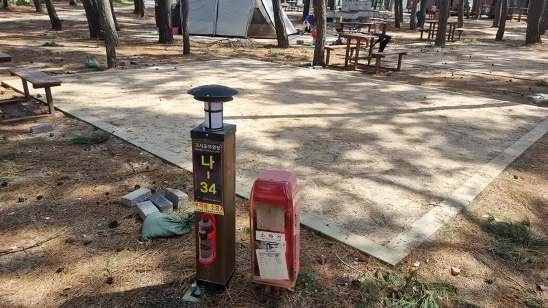 수령 수십 년 해송 숲에 조성된 일반야영장 목재 데크 영지