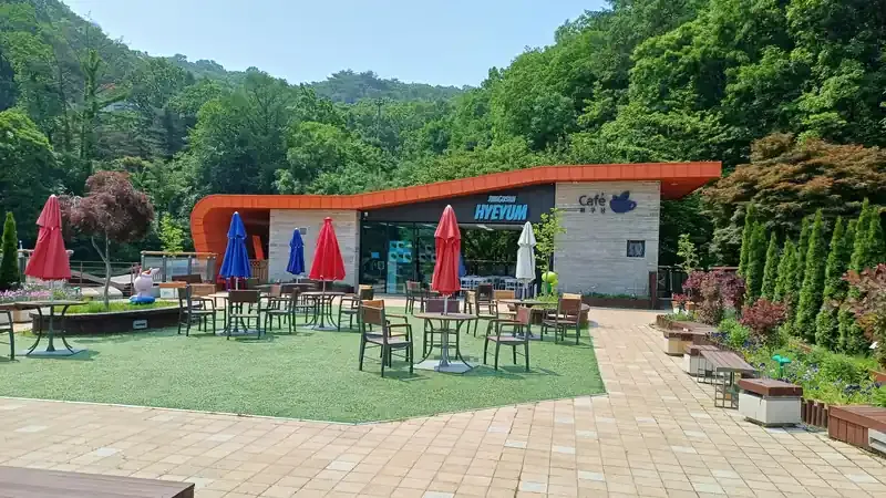 피톤치드 숲속 힐링 쉼터와 삼기저수지 풍경