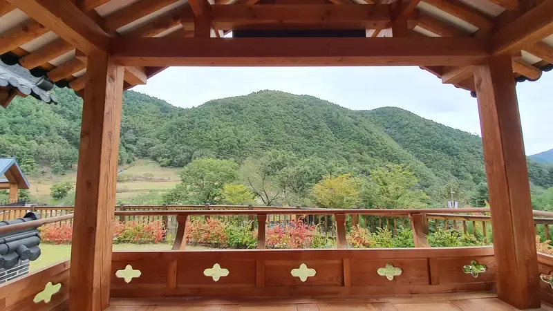 활기 치유의숲 족욕체험장과 청정 금강송 쉼터
