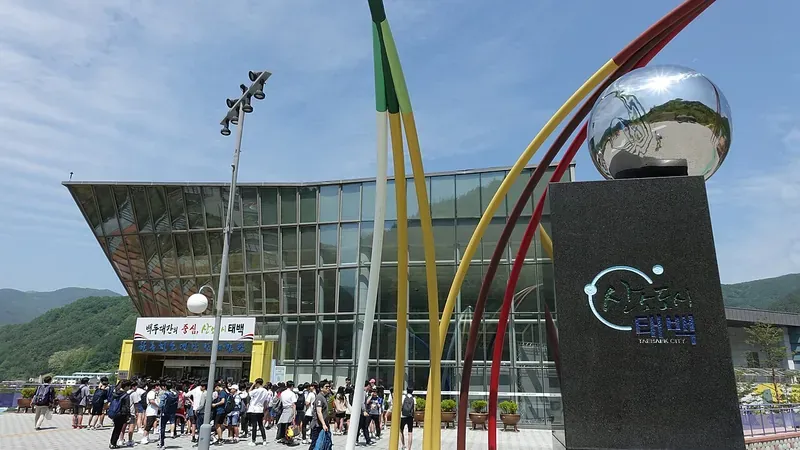 백두대간 태백 연화산 자락 챌린지월드 야외 모험숲 산책로