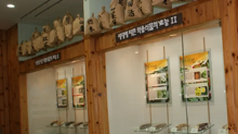 계곡 물소리와 함께 걷는 천연 활엽수림 피톤치드 산책로