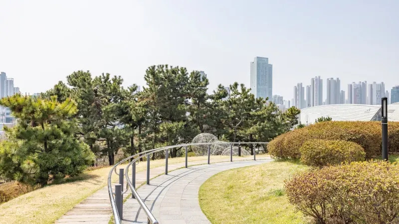 수생식물과 연꽃이 자생하는 생태 호수 및 수변 관찰 데크
