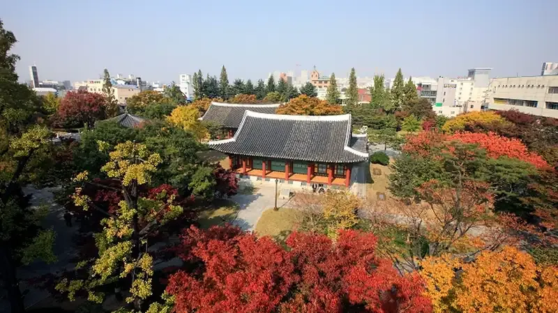 역사관 후문 직결 경상감영공원 숲길 및 정원 쉼터