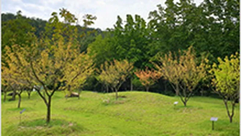 야생초화원 및 울창한 활엽수림 피톤치드 산책길