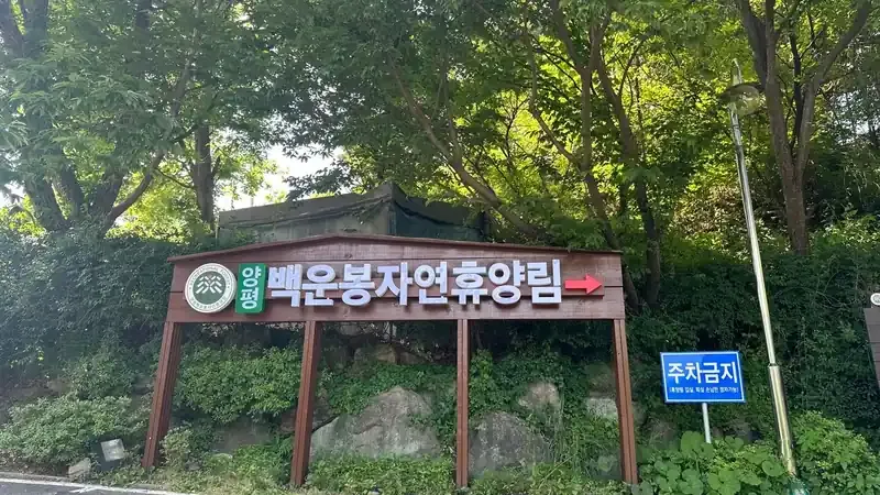 울창한 낙엽송 숲속 힐링 쉼터와 데크로드