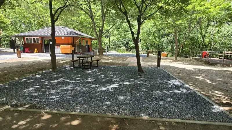 소백산 남천계곡 맑은 여울과 솔향 가득한 숲속 쉼터