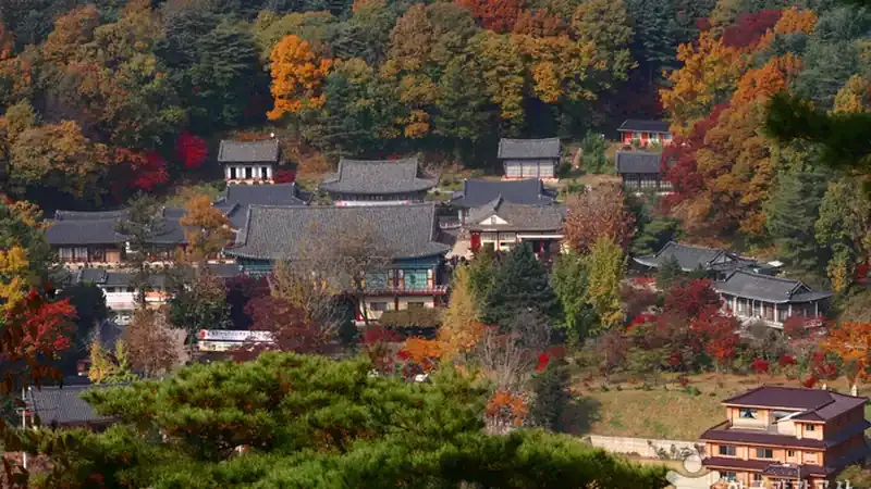 관모산 피톤치드 숲속 무장애 나눔길