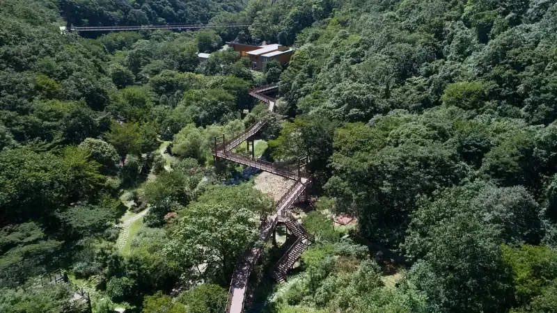 금산생태숲 무장애 목재 데크로드 산책로와 숲속 하늘다리