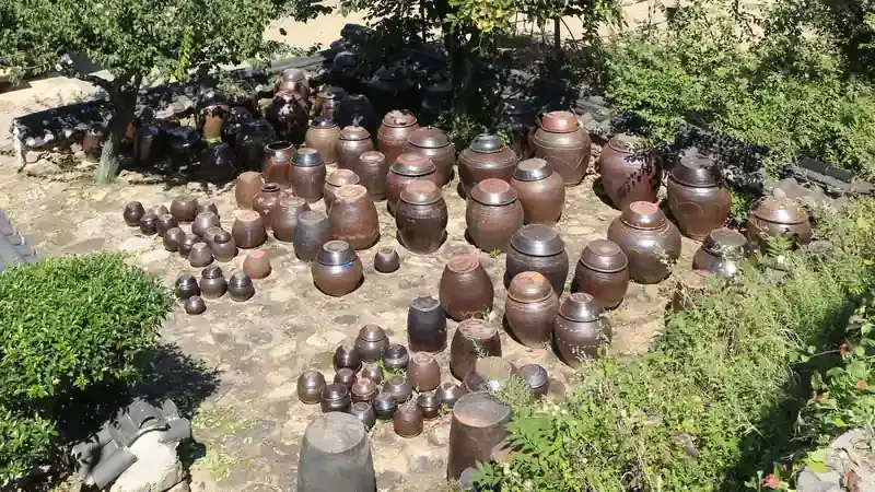 낙안읍성 전통 가옥 장독대와 수목 정원 쉼터