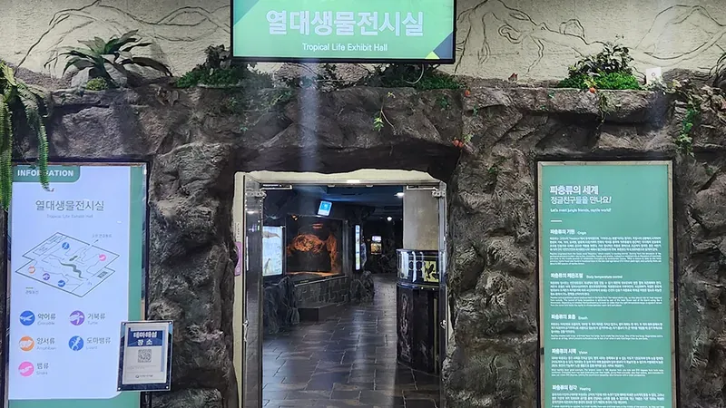 1관 4층 열대생물전시실 살아있는 샴악어 및 열대 파충류 생태 수조