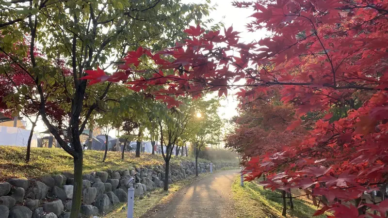 한탄강 주상절리 현무암 협곡을 감상할 수 있는 수변 산책 데크길