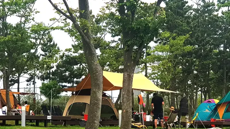 서해 바다와 솔찬공원 해안선을 따라 이어지는 데크 산책로