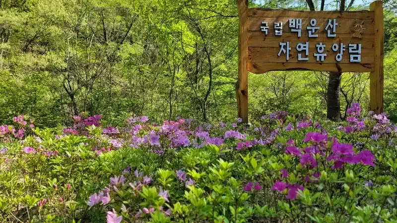용소폭포 청정 계곡과 백운산 활엽수림 쉼터