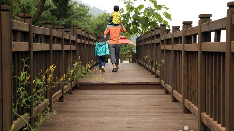 용문산 자락 피톤치드 가득한 관찰 데크로드 산책길