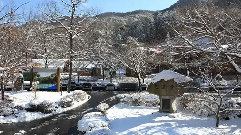 화장골 맑은 계곡 수변 쉼터와 물놀이장