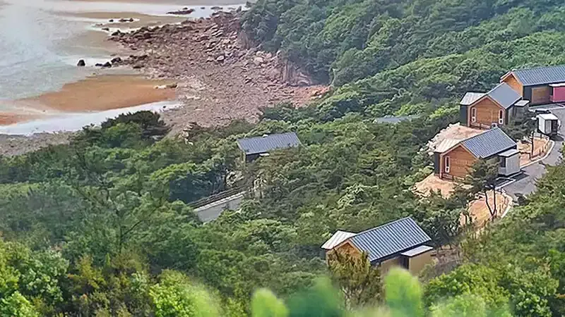 서해안 낙조와 해안 소나무 숲 힐링 쉼터
