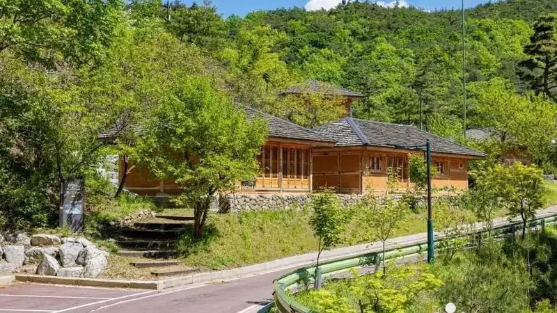 속리산 자락 청정 숲길 산책로 및 울창한 수림