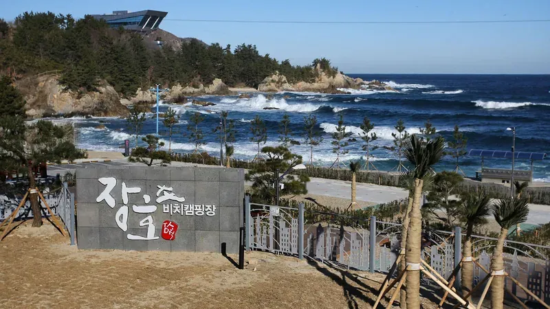 울창한 해송 숲 그늘 아래 파도 소리를 들으며 힐링하는 C구역 일반 야영 데크 산책로