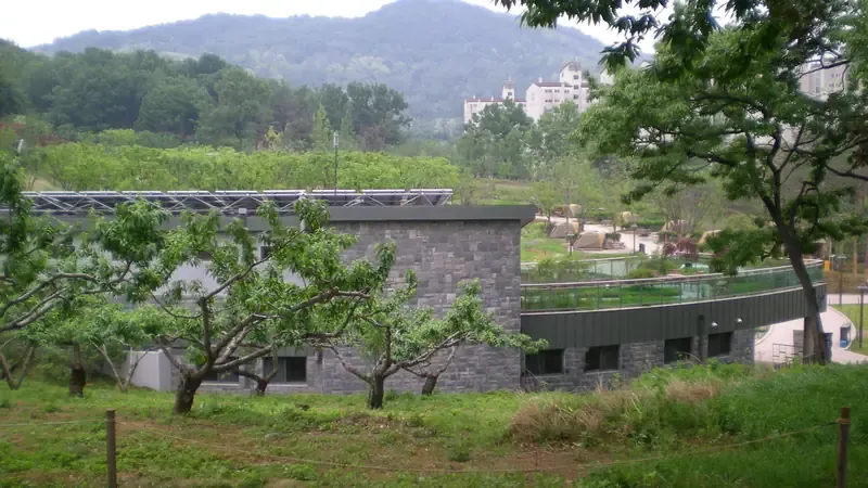 울창한 배나무 숲과 잔디가 어우러진 캠핑 사이트 전경