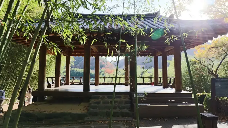 계절별 야생초화원 및 태화강 수변 생태 쉼터