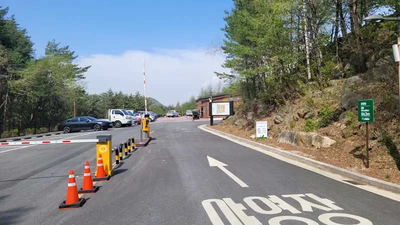 태백산 해발 800m 청정 고원 산림욕과 맑은 밤하늘 별빛 쉼터
