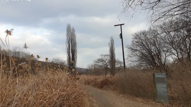 난지캠핑장과 바로 연결되어 수변 생태 관찰과 산책을 즐기는 난지한강공원 생태습지원