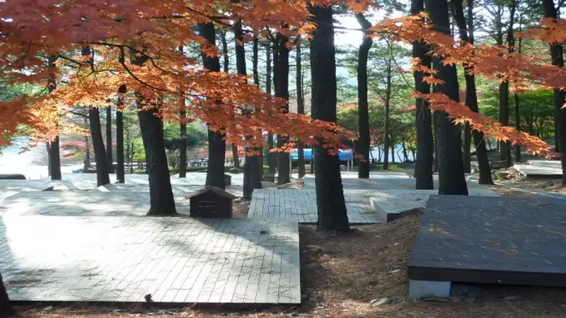 사계절 맑은 제암산 계곡 물놀이장 및 쉼터
