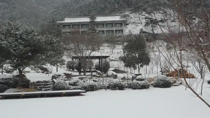 금전산 기암괴석과 남도 활엽수림 피톤치드 쉼터