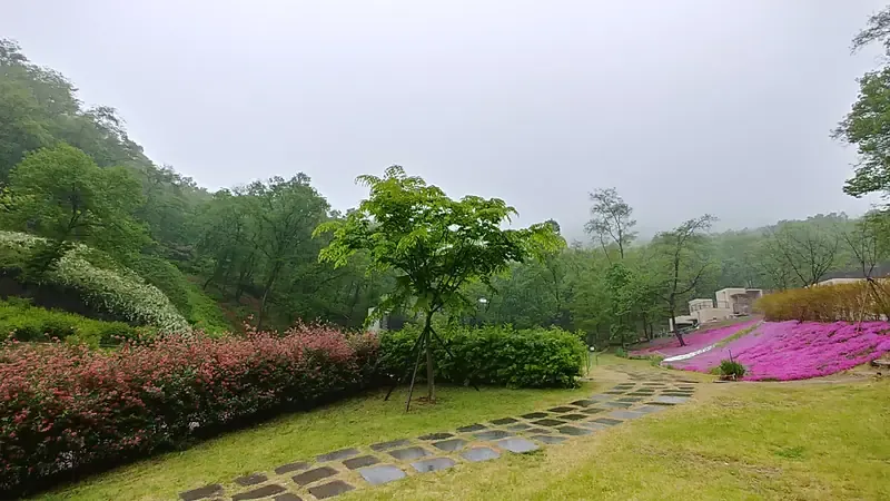 가을빛 구절초 군락지 및 둘레길 생태 쉼터