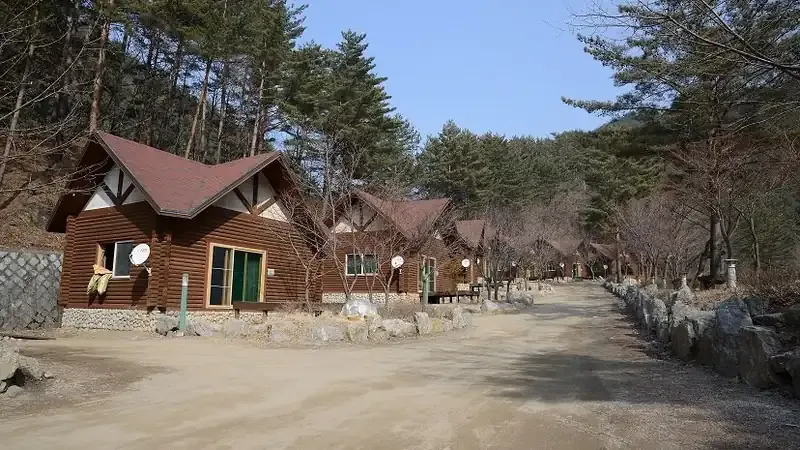 백두대간 청정 고원 침엽수림 힐링 야외 쉼터