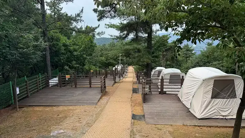 울창한 숲 그늘 아래 펼쳐진 B·C구역 야영장 자연 쉼터